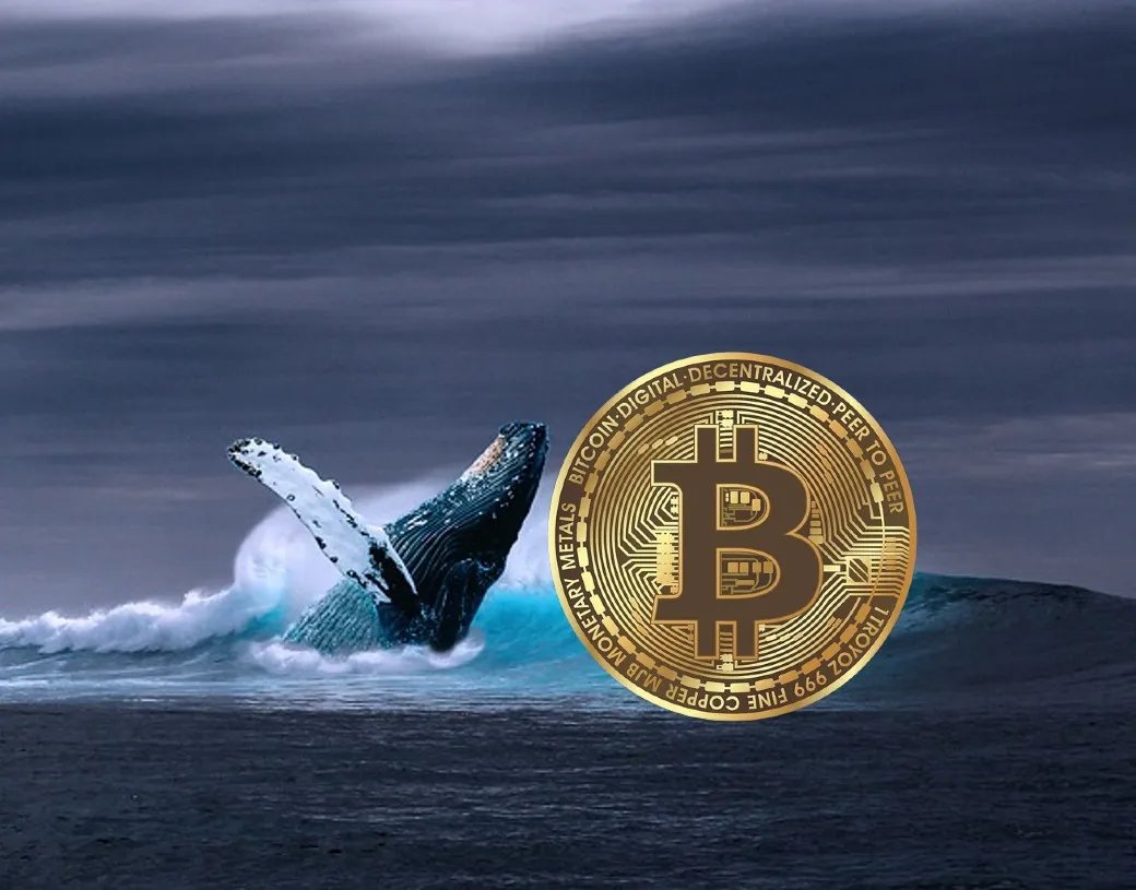 Whale Activity Drives Average Spot Bitcoin Orders on Binance to $1.96 Million