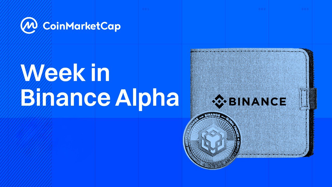 Binance Alpha News: Fear Grips Markets, but Alpha Keeps Building