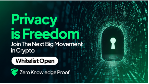 Done With Digital Surveillance? Zero Knowledge Proof (ZKP) Rolls Out a Chain That Keeps Your Actions Hidden