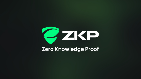 What Zero Knowledge Proof Means in Blockchain and Why Its Funding Model Breaks Industry Norms