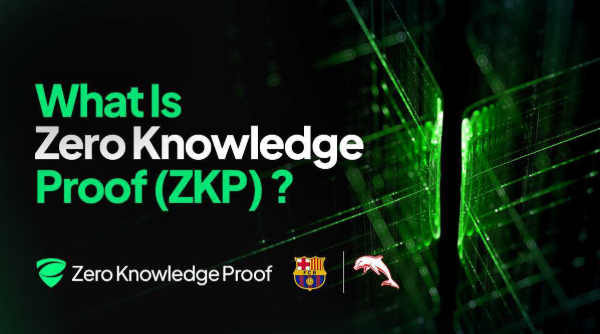 Zero Knowledge Proof (ZKP): How The $100M Blockchain Project Aims to Solve AI Privacy