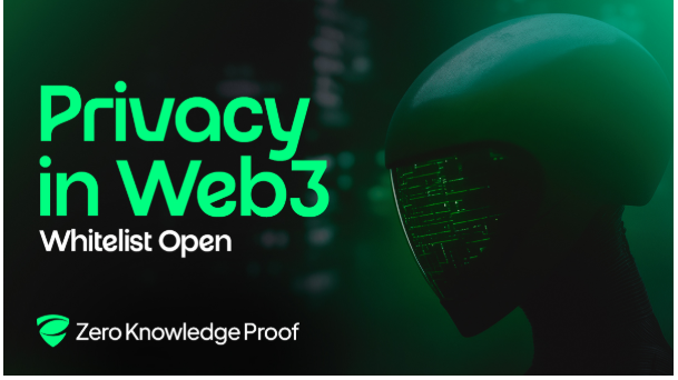 Zero Knowledge Proof (ZKP) Emerges as 2025’s Top zk-Native Chain as ETH Slowly Integrates Zero Knowledge Layers