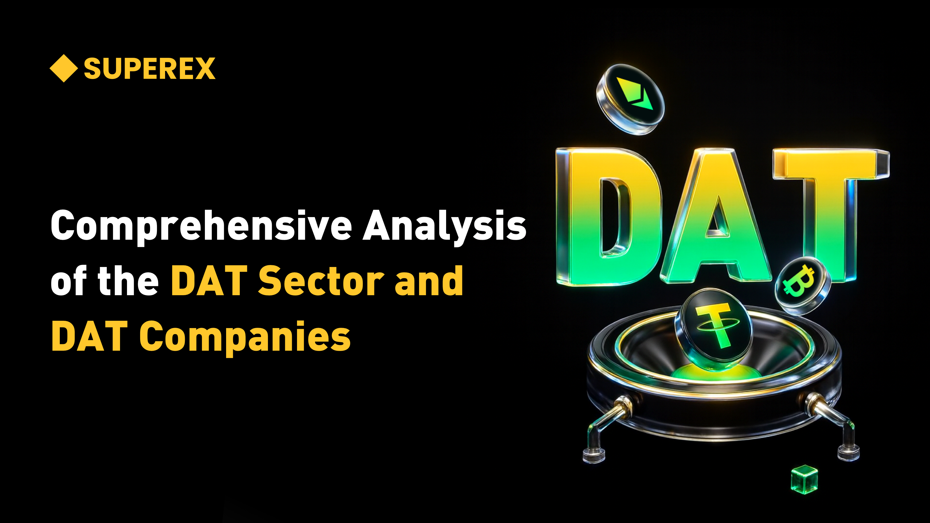 Panoramic Analysis of DAT Companies After the 10.11 Black Swan Shock: The Status Quo and Future Trends of Digital Asset Treasury Firms