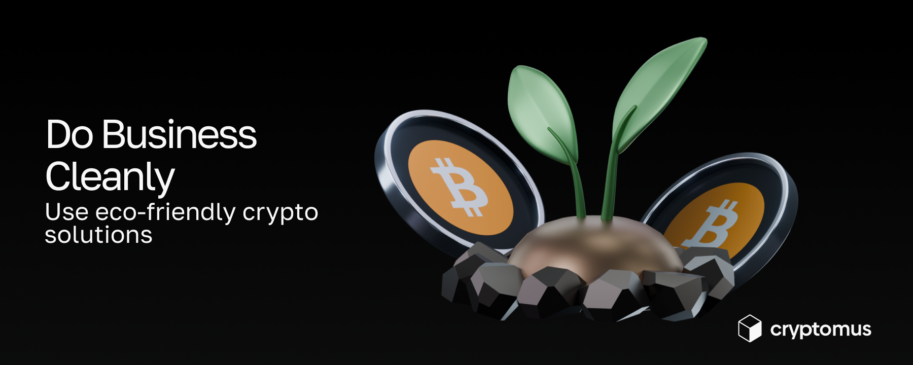 Green Crypto Payments: Sustainable Blockchains for Merchants