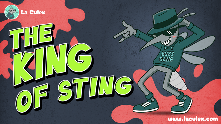 With Markets Cooling in November, La Culex Swarms Stage 4, Official Trump and Polygon Look at the Best Crypto to Buy Now