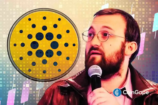 ‘Cardano Didn’t Go Down,’ Charles Hoskinson Pushes Back On Network FUD