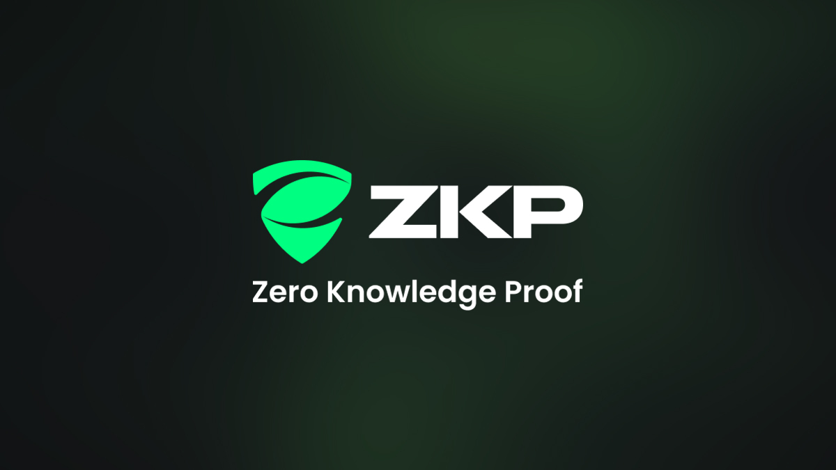 What Is Zero Knowledge Proof: A Complete Guide to Crypto Model With a 20,000x Setup