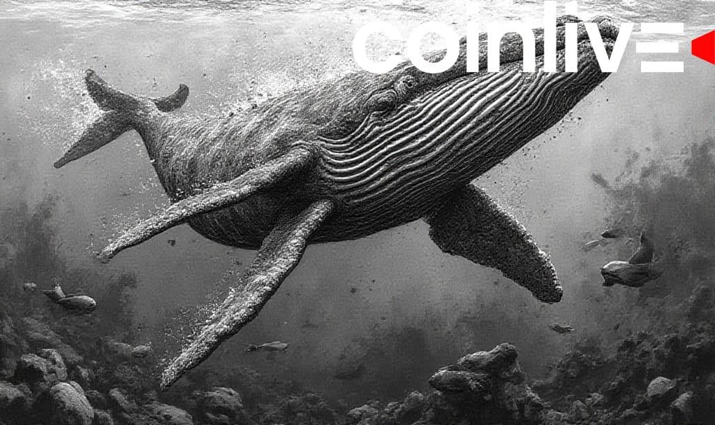 PENGU Whale Activity Drives Market Engagement