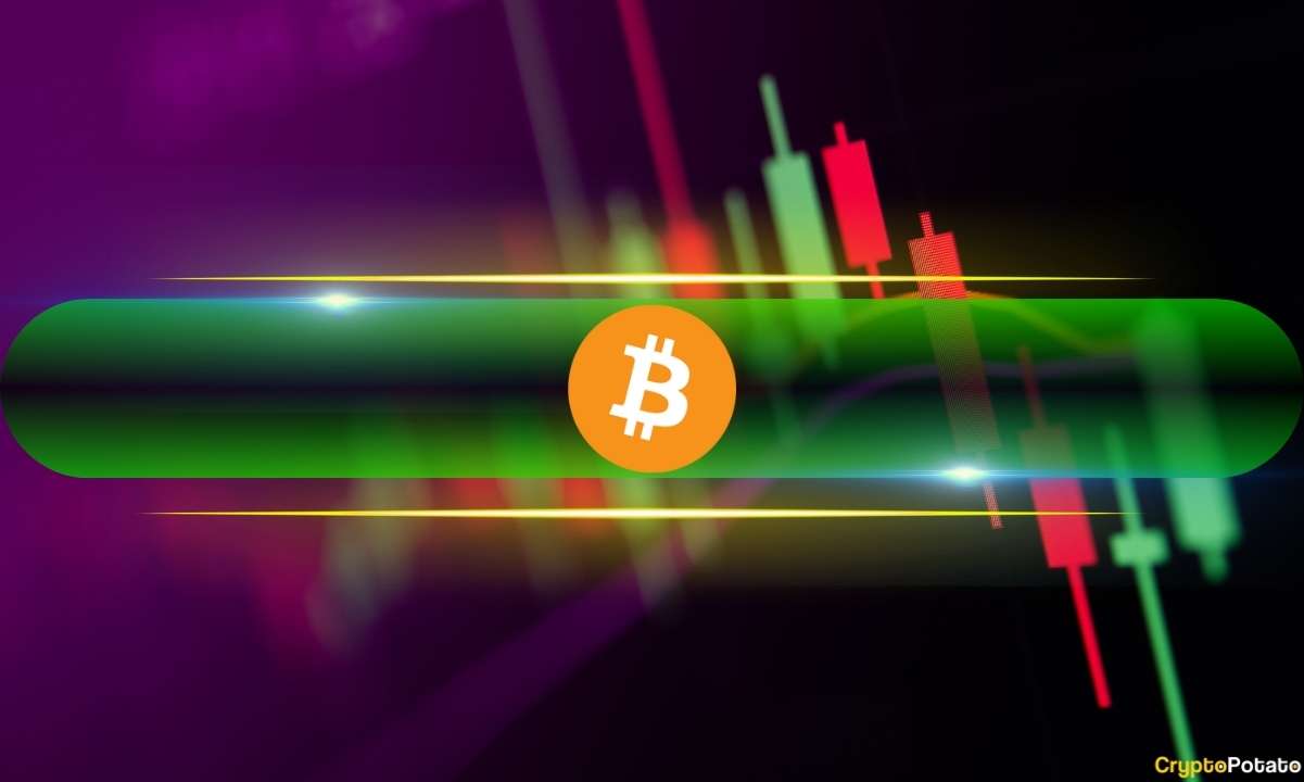 Zcash (ZEC) Explodes by 60% Daily, Bitcoin (BTC) Taps 7-Week High: Market Watch