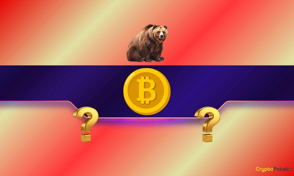 We Asked 2 AIs if Bitcoin’s Bear Market Has Officially Started