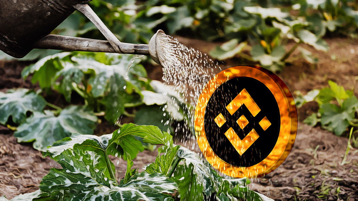 Binance Responds to Bold Allegations with a Firm Statement