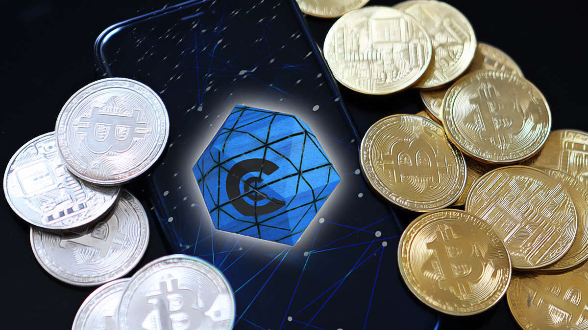 Major Crypto Institutions Face Diverging Fortunes in Volatile Markets