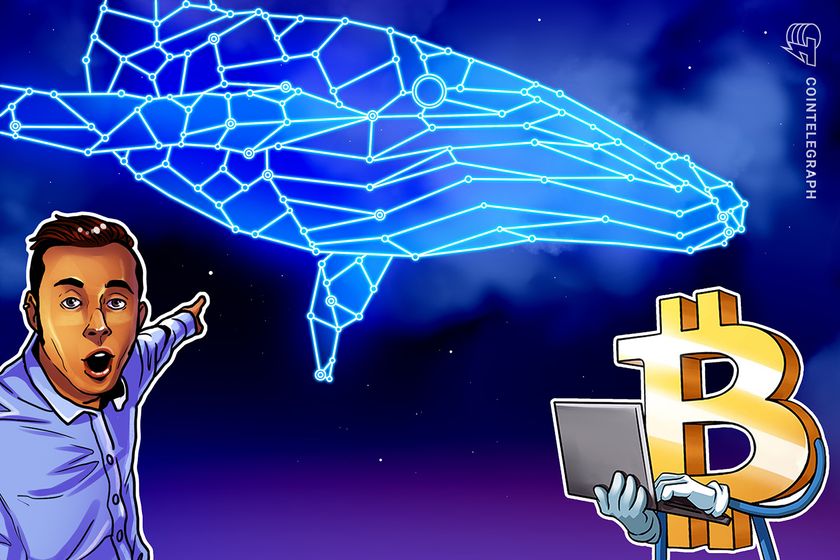 Bitcoin whale balances see 21% bounce after fastest sell-off since 2023 ends