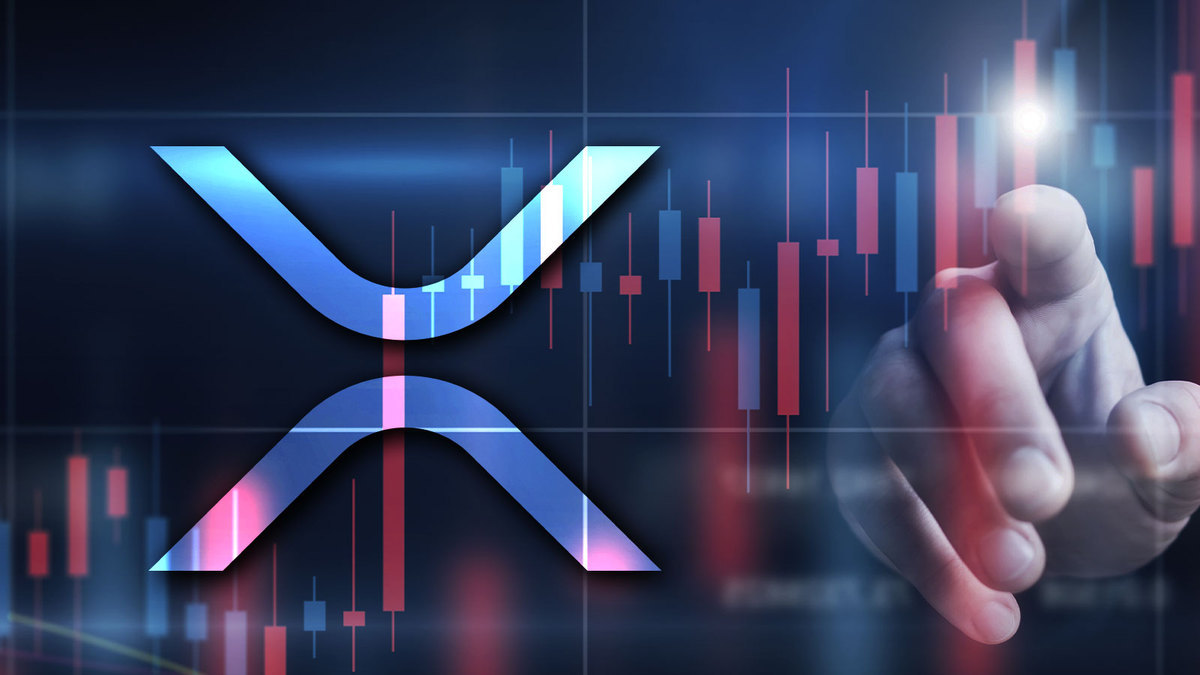 XRP Sees Spike in Whale Transactions as Investors Load Up