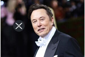Elon Musk’s Grok Sets XRP Price for December 31, 2025