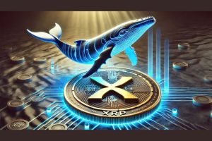 Whale Alert for XRP Holders