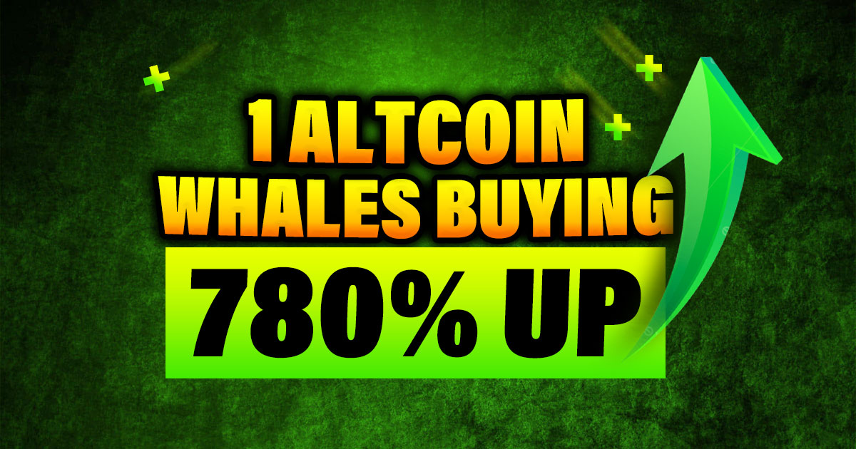 Crypto Whales Are Buying Clearpool CPOOL; Undervalued Altcoin