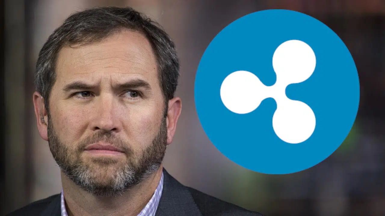 Ripple CEO Brad Garlinghouse Makes Important Statements About XRP! "We Will Not Support These!"