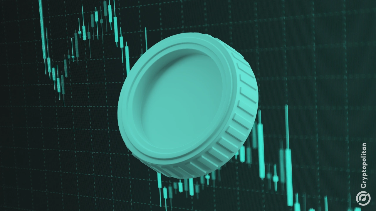 November perpetual trading volume on DEXs exceeds $1 trillion